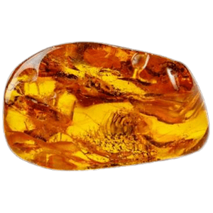 AMBRE